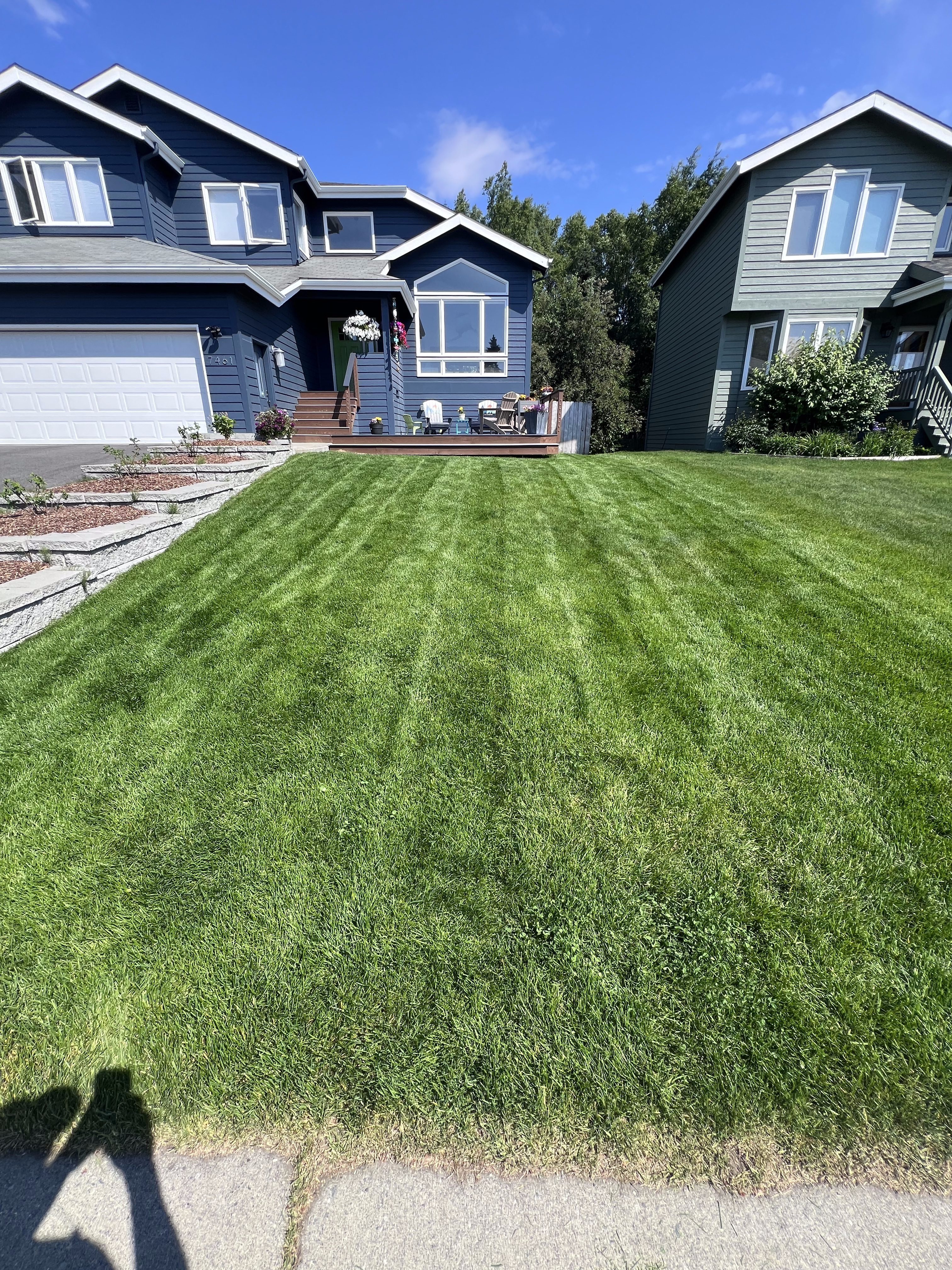 Lush Green Lawn - Healthy, well-maintained residential lawn by Polar Lawns & Plowing