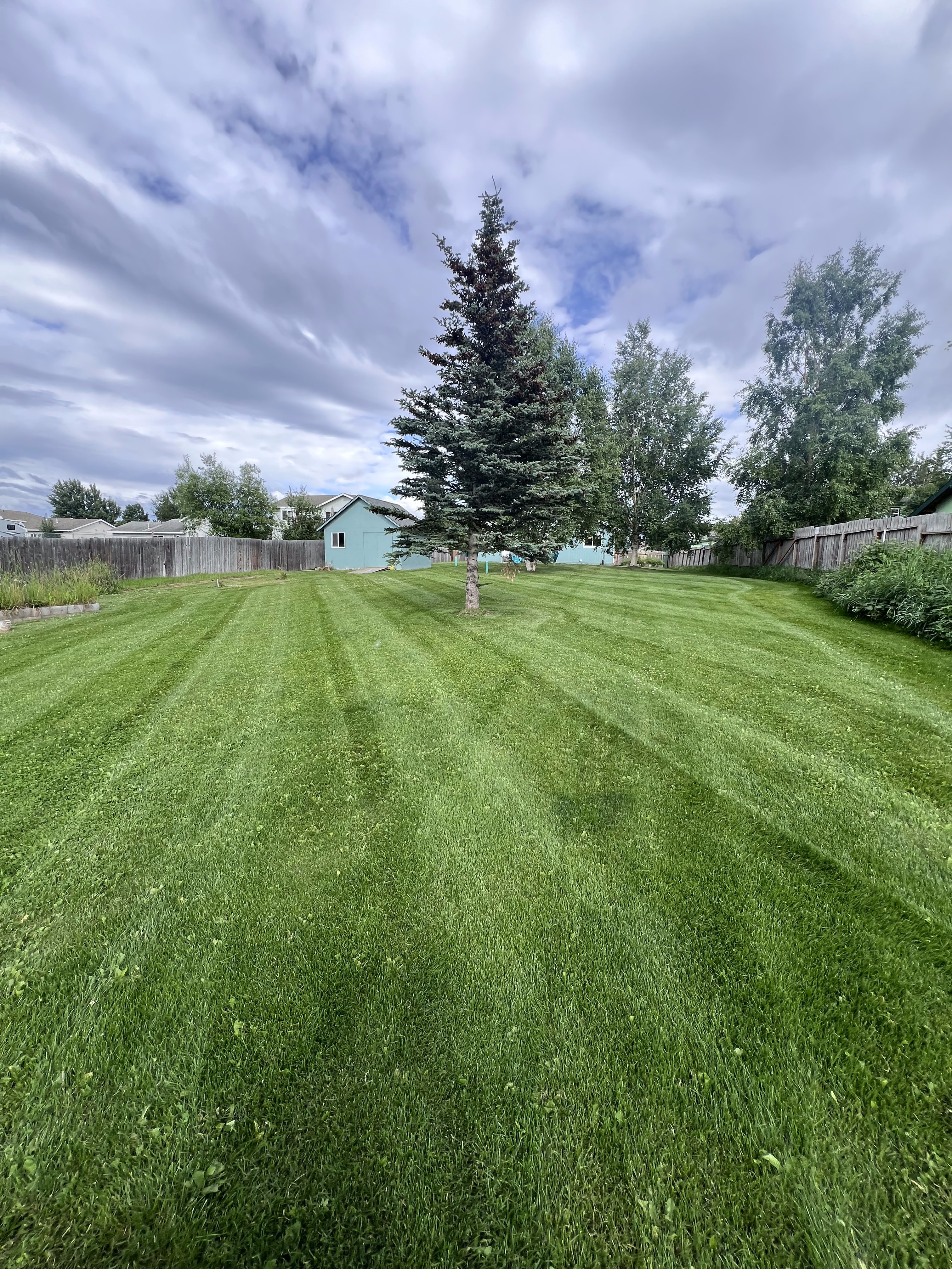 Spring Cleanup Service - Professional spring property cleanup and preparation by Polar Lawns & Plowing