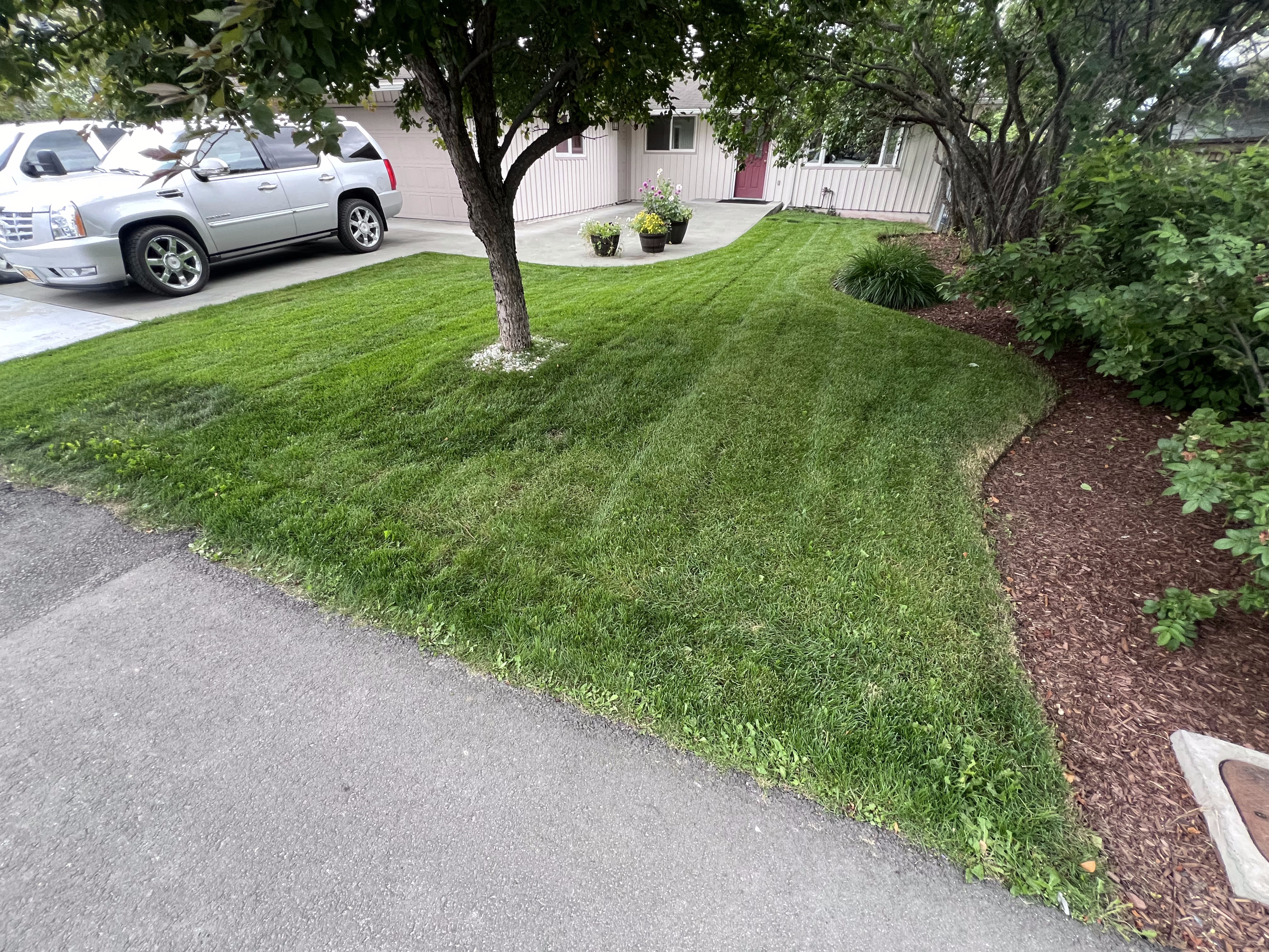 Residential Lawn Care - Beautiful, well-groomed residential property by Polar Lawns & Plowing