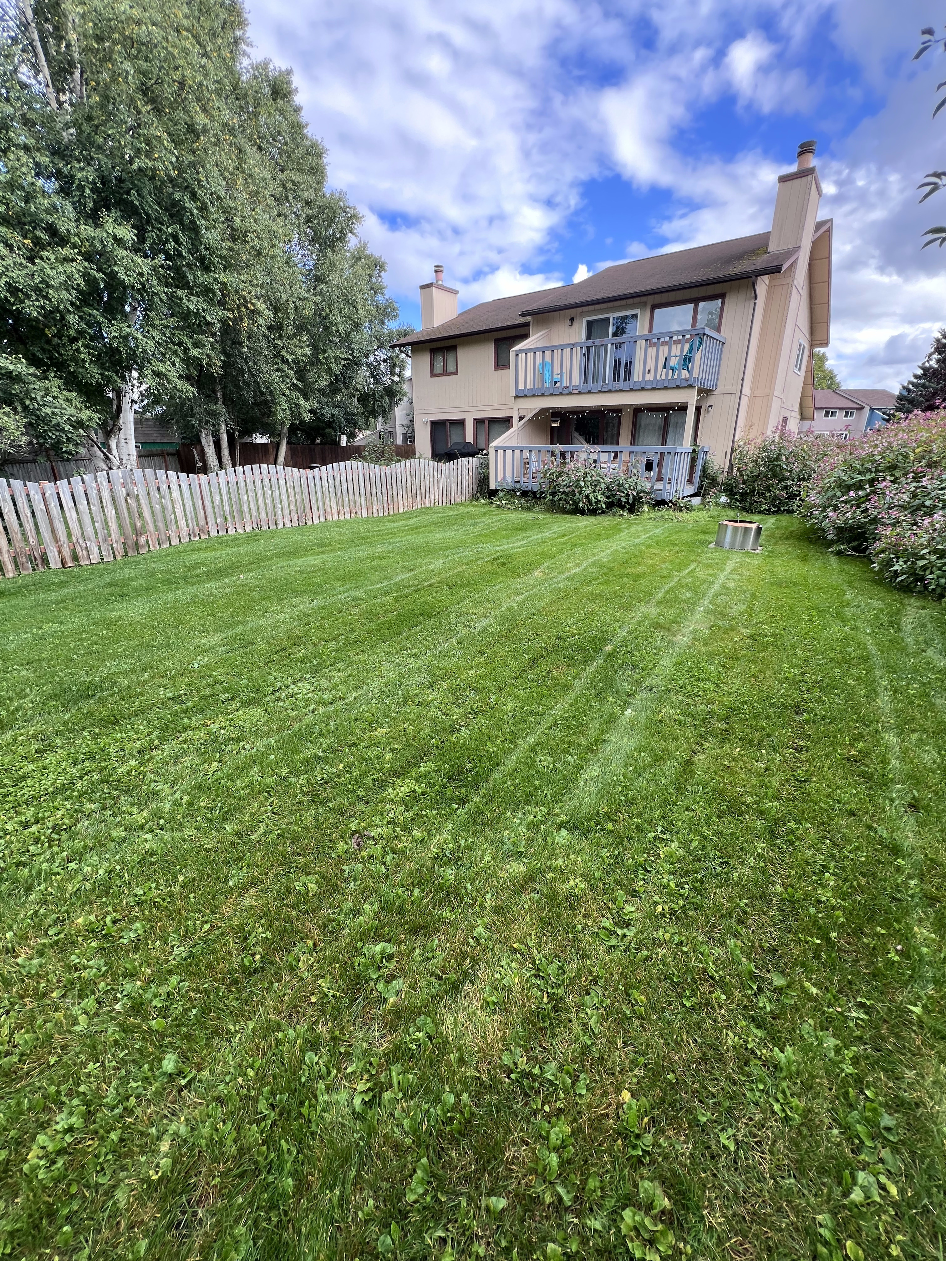 Fall Cleanup - Seasonal fall property cleanup and maintenance by Polar Lawns & Plowing